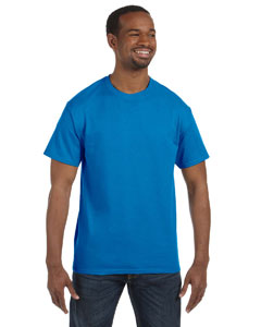 HanesMen's 6 oz. Authentic-T T-Shirt Style #5250T