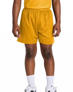 Youth PosiCharge Mesh 5 Short